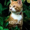 Burde Seinakalenteri 2024 Kissat