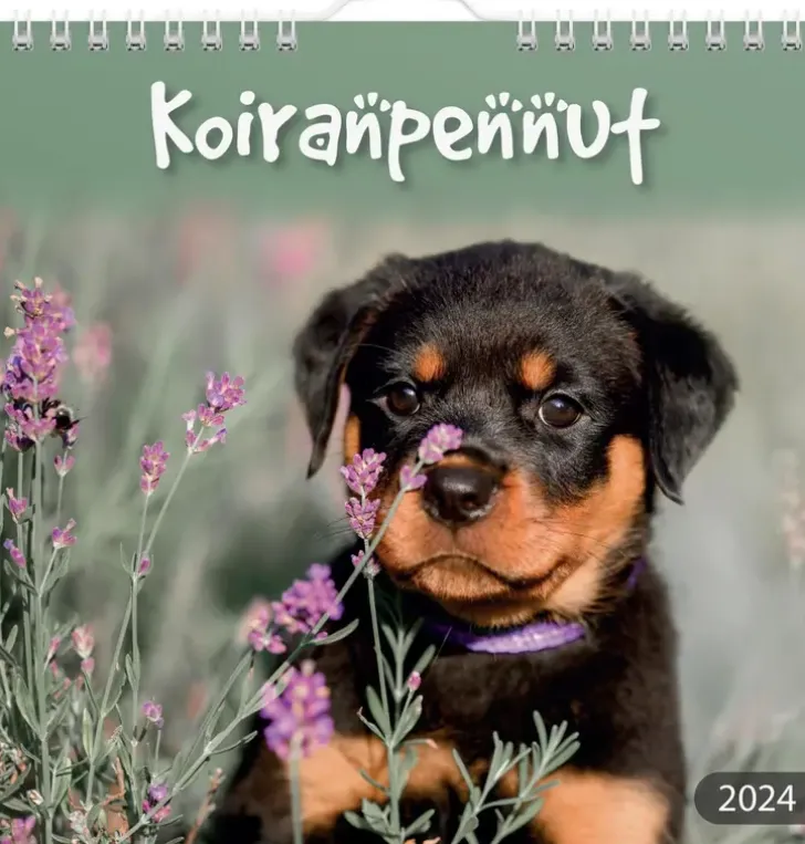 Burde Seinakalenteri 2024 Koiranpennut
