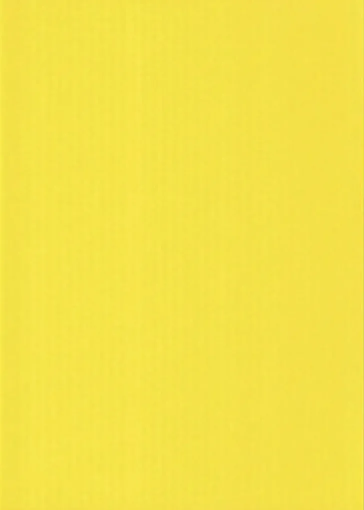 Karto Kartonki Keltainen A4 220Gsm 5Ark/Pss