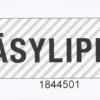 Paasylippunippu Numeroitu 100 Lippua